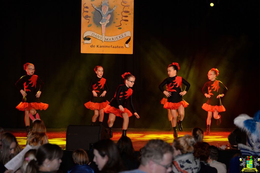 ../Images/Dansmarieke festival 2018 128.jpg